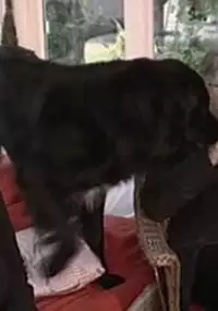 Kolba, na szczęście!