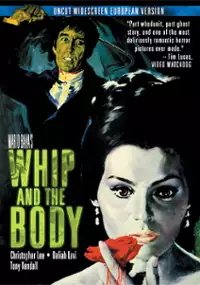 Bicz i ciało