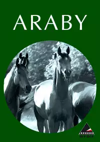 Araby