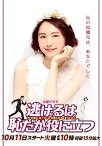 Nigeru wa Haji da ga Yaku ni Tatsu