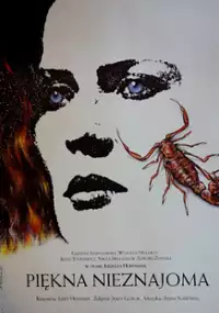 Piękna nieznajoma