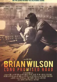 Brian Wilson: Long Promised Road