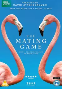 Miłosne rozgrywki zwierząt