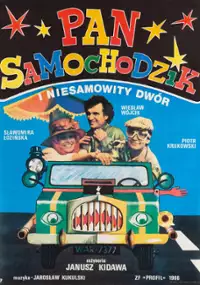 Pan Samochodzik i niesamowity dwór